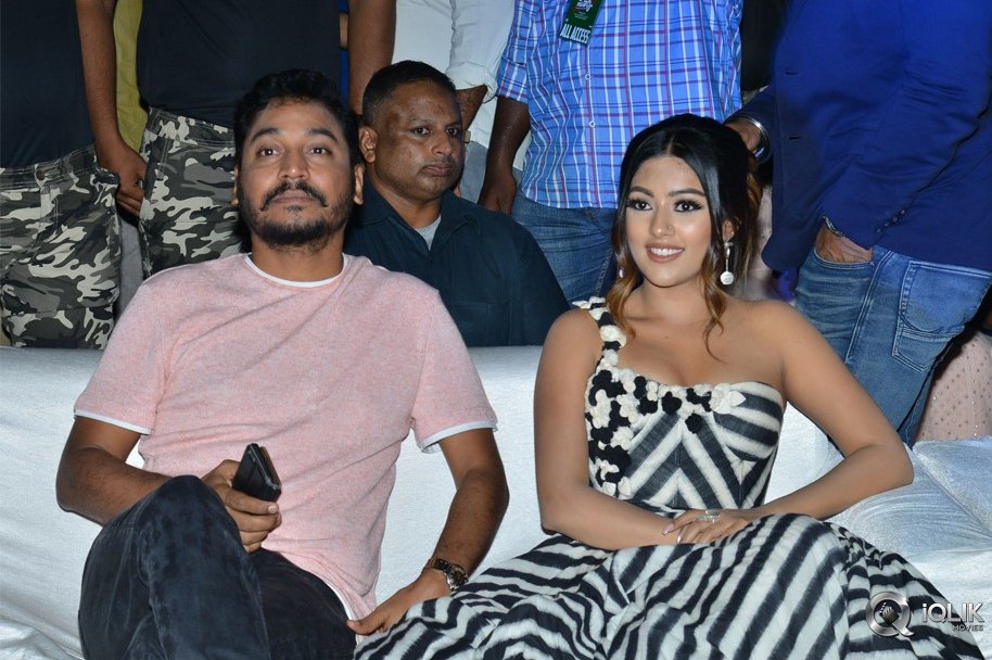 Naa-Peru-Surya-Naa-Illu-India-Pre-Release-Event-Photos